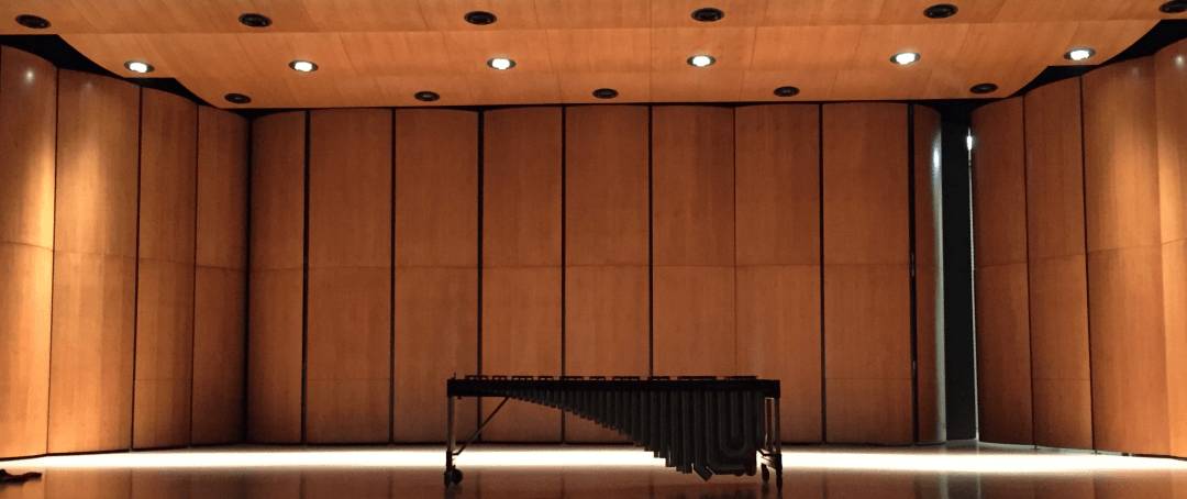 Andrea Venet Playing a Marimba